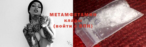 твердый Вяземский