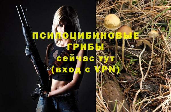 кокаин премиум Гусь-Хрустальный
