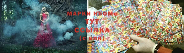 стаф Гусиноозёрск